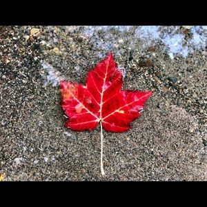 Meet your Posher, Kara